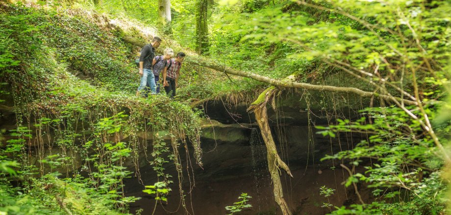 Hexenklamm drei Wanderer schauen Abgrund runter 